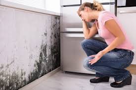 Best Residential Mold Inspection & Testing  in Las Animas, CO